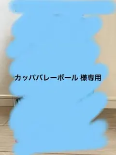 THE NORTH FACE CASIMIR36 リュック おまけ付き