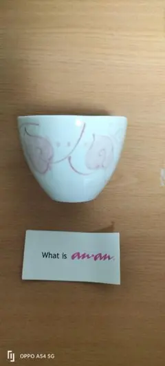 Item thumbnail for item 981fba69-1e61-4a6e-9d2b-874652cb81b0