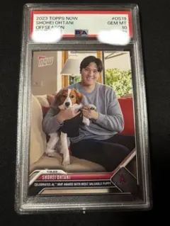 2026年最新】大谷翔平 デコピン psa10の人気アイテム - メルカリ