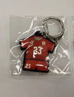 エバデダン ラリー 選手 男子バレーVNL シークレットキーホルダーのサムネイル