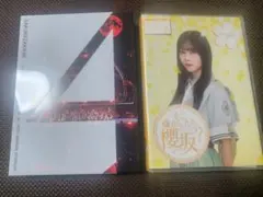 Item thumbnail for item ec15c766-28b5-4f86-99cc-44717475bcf9