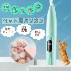 Item thumbnail for item 6aa53e10-27e8-4b27-affc-5d63e6236c41