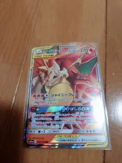 リザードン & テールナーGX