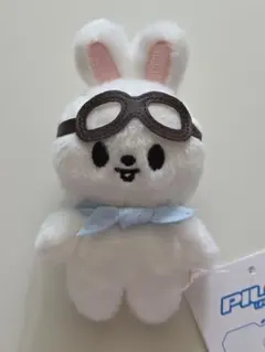 2026年最新】SKZOO 10cm pilotの人気アイテム - メルカリ