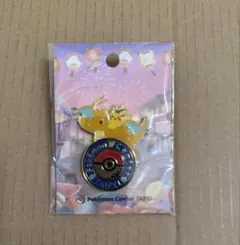 ポケパークカントー ピンズ ピンバッジ ミニリュウ カイリュー - メルカリ