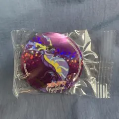 くら寿司　びっくらポン　ポケモン　ホログラムマグネット　ミライドン