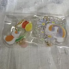 夏目友人帳　アクリルキーホルダー