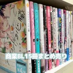 商業BL まとめ売り ㉔ BL漫画15冊