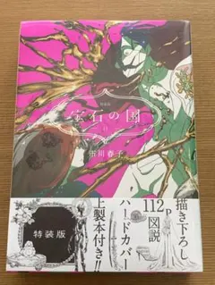 2025年最新】宝石の国 特装版の人気アイテム - メルカリ