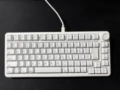 AIM1 瞬 マタタキ 日本語配列 キーボード 本体 ホワイト - メルカリ