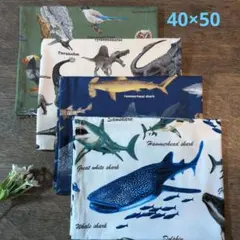 ランチョンマット4枚セット　男の子　給食　小学校　保育園　幼稚園