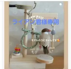 gc24　ミニアスレチック　止まり木　バードトイ　フォージングトイ　文鳥　インコ