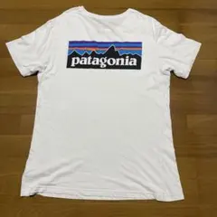 patagonia パタゴニア コットンTシャツ 半袖