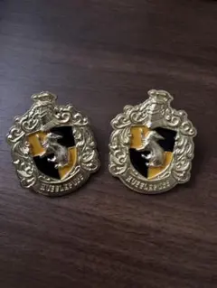 ハリーポッター　ホグワーツ魔法魔術学校ピンズコレクション　ハッフルパフ2個セット