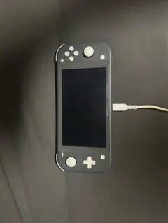 Nintendo Switch Lite グレー 本体