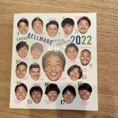 Item thumbnail for item 802504db-8f80-4d07-b94d-7f7df1dd83cd