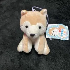 2026年最新】くったり柴犬の人気アイテム - メルカリ