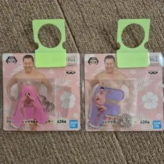 2025年最新】とにかく明るい安村 アルファベットの人気アイテム - メルカリ