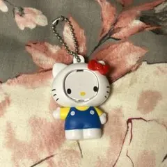 サンリオキャラクターズ ハローキティ フォトフレームマスコット ガチャガチャ