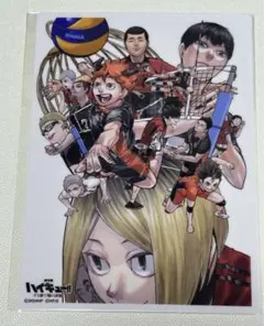 ハイキュー　劇場版ゴミ捨て場の決戦　ジャンプ電子購読者限定ムビチケ　購入特典