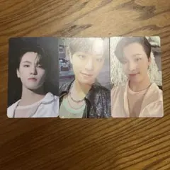 SEVENTEEN ディノ　weverse盤 sector17