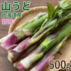 ⑤北海道道東十勝産天然山ウド500g以上【若芽】 - メルカリ