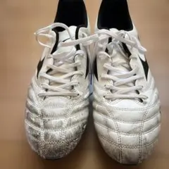 Item thumbnail for item 0babc22b-a3f6-4c00-949e-703c77e1a893