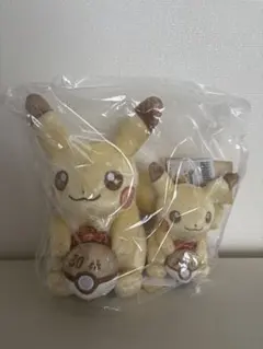 ポケモン30周年記念 キャラクターグッズ