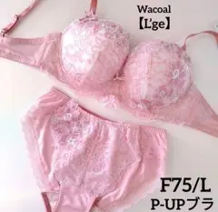 ブラショーツセット