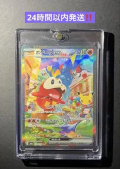 ポケモンカード30th ホゲータex SAR