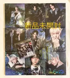 &TEAM Back to Life ROAR ver. 未開封 9枚セット