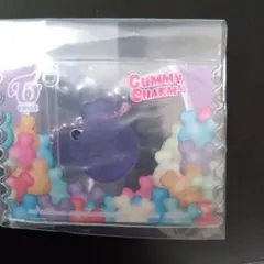 TWICELOVELYSグミ＆チャーム ポーチつき サナ