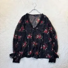 ザラベーシック【EUR M】黒 花柄 長袖ブラウス シアー Vネック レースのサムネイル