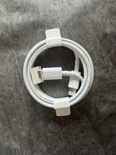 Apple Lightning typeCケーブル ホワイト