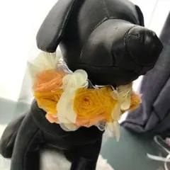 犬 ペット トリミングチョーカー トリミングリボン 誕生日 トリミングサロン