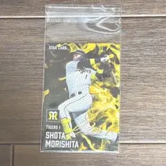 森下翔太 金箔サイン入り STAR CARD