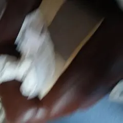 GUレディースパフスウェットバギーパンツ　XL