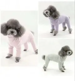 Item thumbnail for item 201e8f36-41f6-4ce2-8782-3f7ac435d636