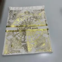 CHRISTIAN DIOR ゴールド装飾ポーチ