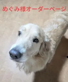 めぐみ様オーダーページ