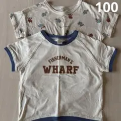 tシャツ 2枚セット