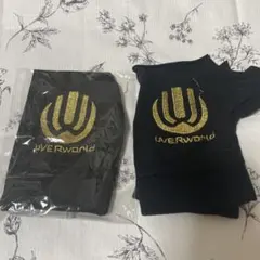 UVERworld 初代金グローブ　再版　新品未開封のサムネイル
