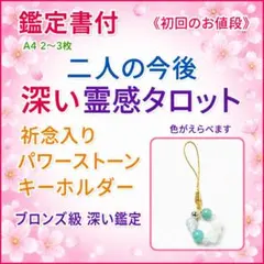 《初回限定値下》二人の今後☆霊感タロット占　一件☆鑑定書パワーストーン付☆銅