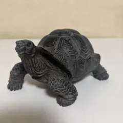 黒い亀の貯金箱