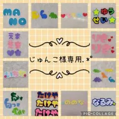 じゅんこ様専用.*゜