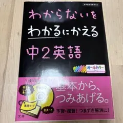 Pinto様 リクエスト 2点 まとめ商品