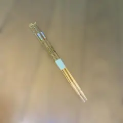 Item thumbnail for item 6a0c05e8-6f50-469a-a7bd-bdff641fe364