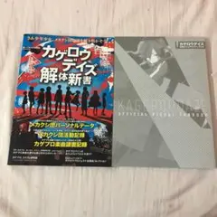 カゲロウデイズ 解体新書  カゲロウデイズ公式ビジュアルファンブック