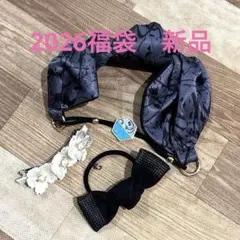 【2026 福袋品新品】コンプレックスビズ　バレッタ　リボンゴム　カチューム