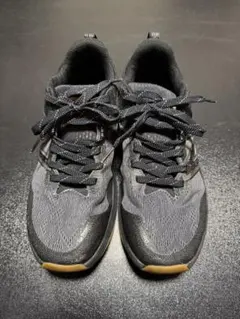 Item thumbnail for item 5643212d-556e-4089-94e9-416edd0b44f1